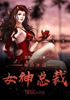 我的冰山女神總裁