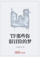 TF那些你很冒險的夢