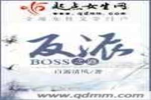 反派boss之路